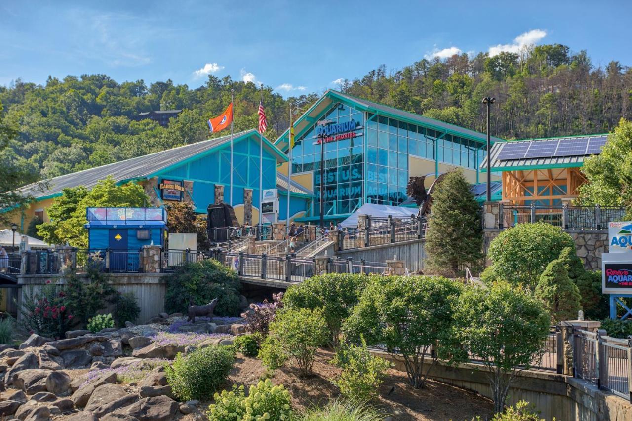 5Bd5B Escape Cabin With 2 Hottubs, Thtr &Game Rm,1Mi To The Parkway! 4Mi To Dollywood - Spring Deal Pigeon Forge Dış mekan fotoğraf